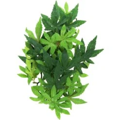 Exo Terra Abutilon Silk Plant