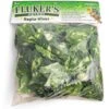 Fluker's Pothos Repta-Vines -Pet Supplies Store 101651 MAIN. AC SS1800 V1669759592