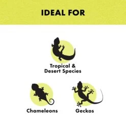 Zilla Day Blue Light Incandescent Reptile Bulb -Pet Supplies Store 101675 PT2. AC SS1800 V1669639114