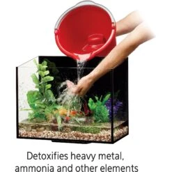 Aqueon Betta Bowl Plus Water Conditioner -Pet Supplies Store 103488 PT3. AC SS1800 V1595979682