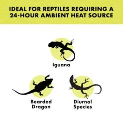 Zilla Night Black Heat Incandescent Spot Reptile Bulb -Pet Supplies Store 103567 PT2. AC SS1800 V1490384185