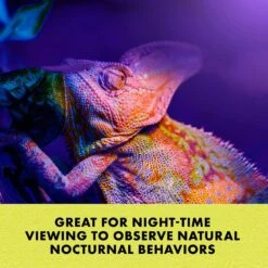 Zilla Night Black Heat Incandescent Spot Reptile Bulb -Pet Supplies Store 103567 PT3. AC SS1800 V1669639116