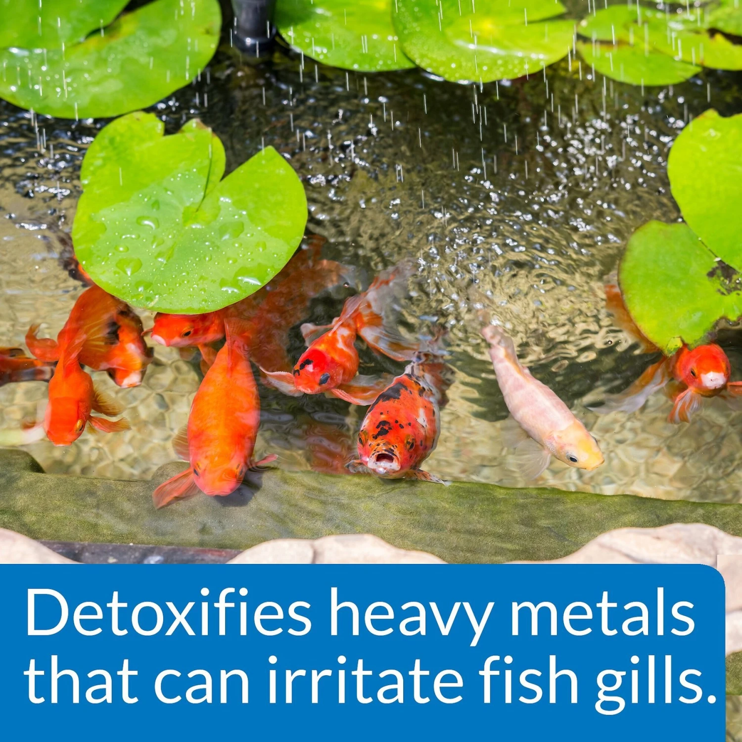 API Pond Chlorine & Heavy Metal Neutralizer 7 API Pond Chlorine & Heavy Metal Neutralizer - Image 5