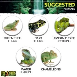 Exo Terra Mister Portable Pressure Sprayer -Pet Supplies Store 124988 PT4. AC SS1800 V1627612889