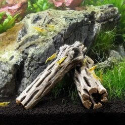 SubstrateSource Cholla Wood Aquarium & Terrarium Driftwood, 4-in, 3 Count 7 SubstrateSource Cholla Wood Aquarium & Terrarium Driftwood, 4-in, 3 Count -Pet Supplies Store 125919 PT2. AC SS1800 V1495727513