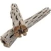 SubstrateSource Cholla Wood Aquarium & Terrarium Driftwood, 6-in, 2 Count -Pet Supplies Store 125921 MAIN. AC SS1800 V1495734701