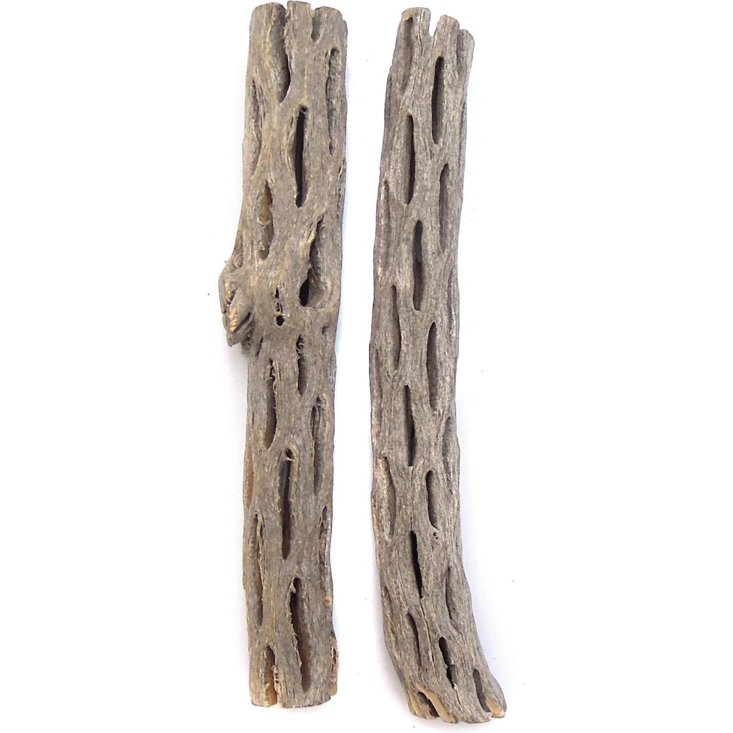 SubstrateSource Cholla Wood Aquarium & Terrarium Driftwood, 6-in, 2 Count 4 SubstrateSource Cholla Wood Aquarium & Terrarium Driftwood, 6-in, 2 Count - Image 2