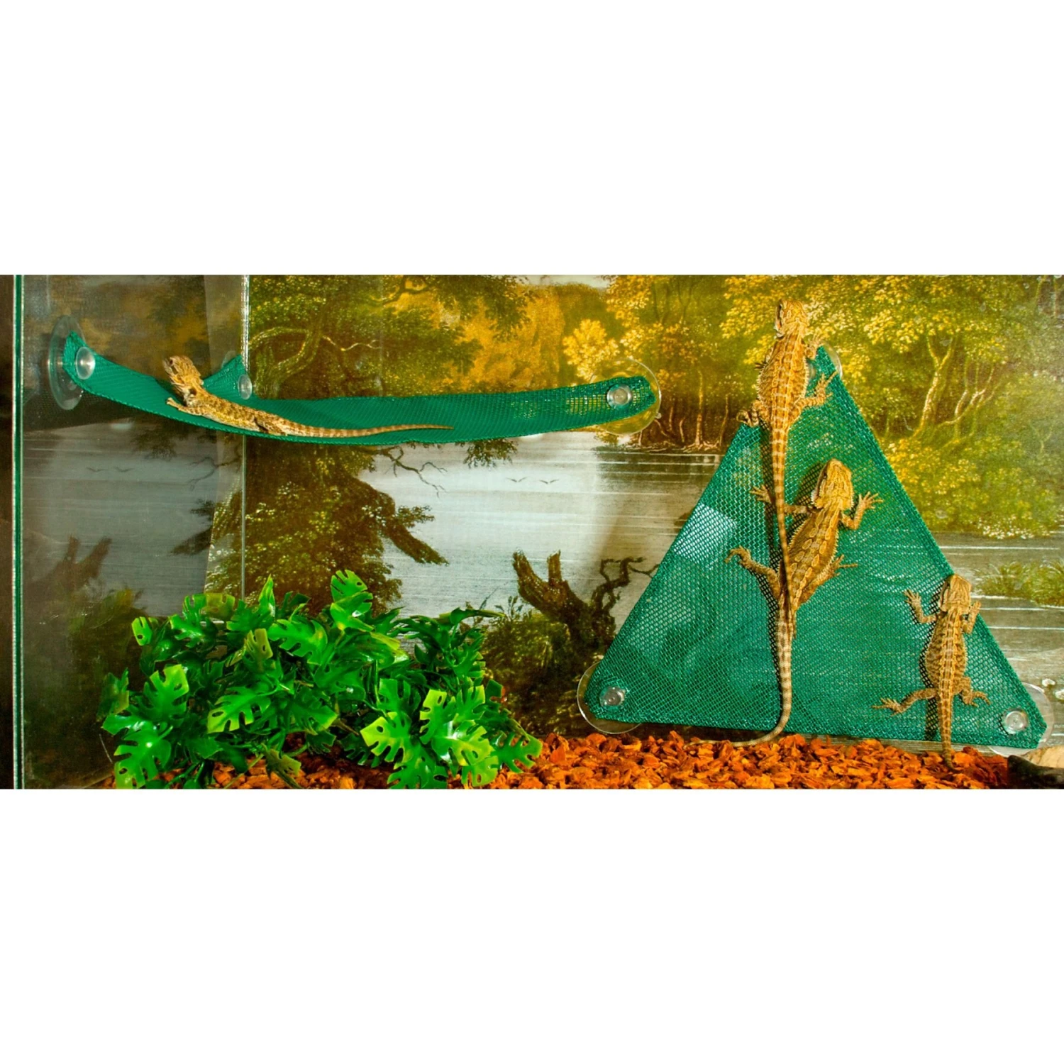 Zoo Med Lizard Ladder 4 Zoo Med Lizard Ladder - Image 2