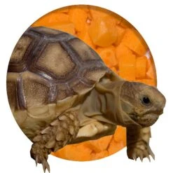 Nature Zone Bites Tortoise Food -Pet Supplies Store 132377 PT4. AC SS1800 V1500307907