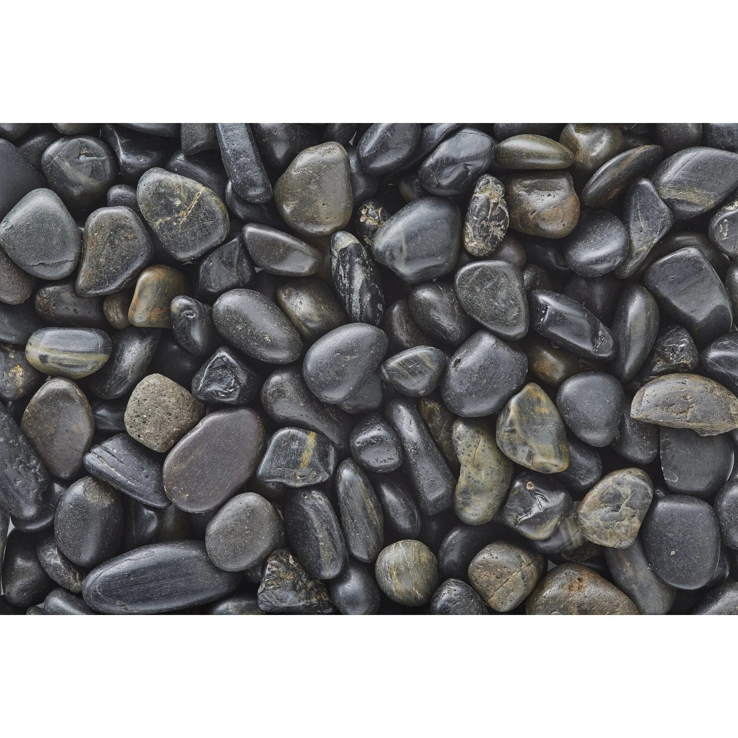 Exotic Pebbles Polished Black Reptile & Terrarium Gravel 4 Exotic Pebbles Polished Black Reptile & Terrarium Gravel - Image 2
