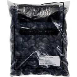 Exotic Pebbles Polished Black Reptile & Terrarium Pebbles