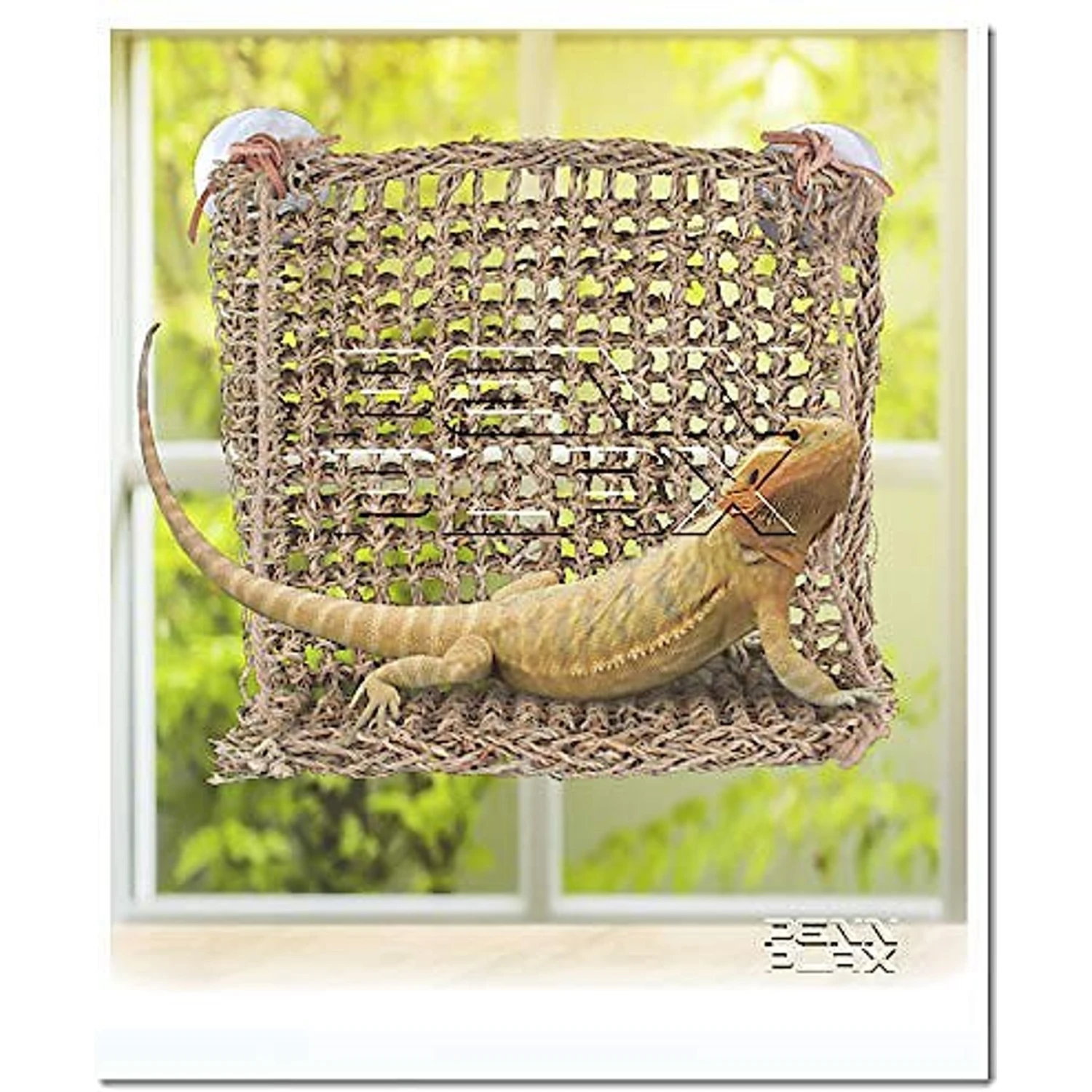 Penn-Plax Reptology Sun-Lover Lizard Lounger 4 Penn-Plax Reptology Sun-Lover Lizard Lounger - Image 2