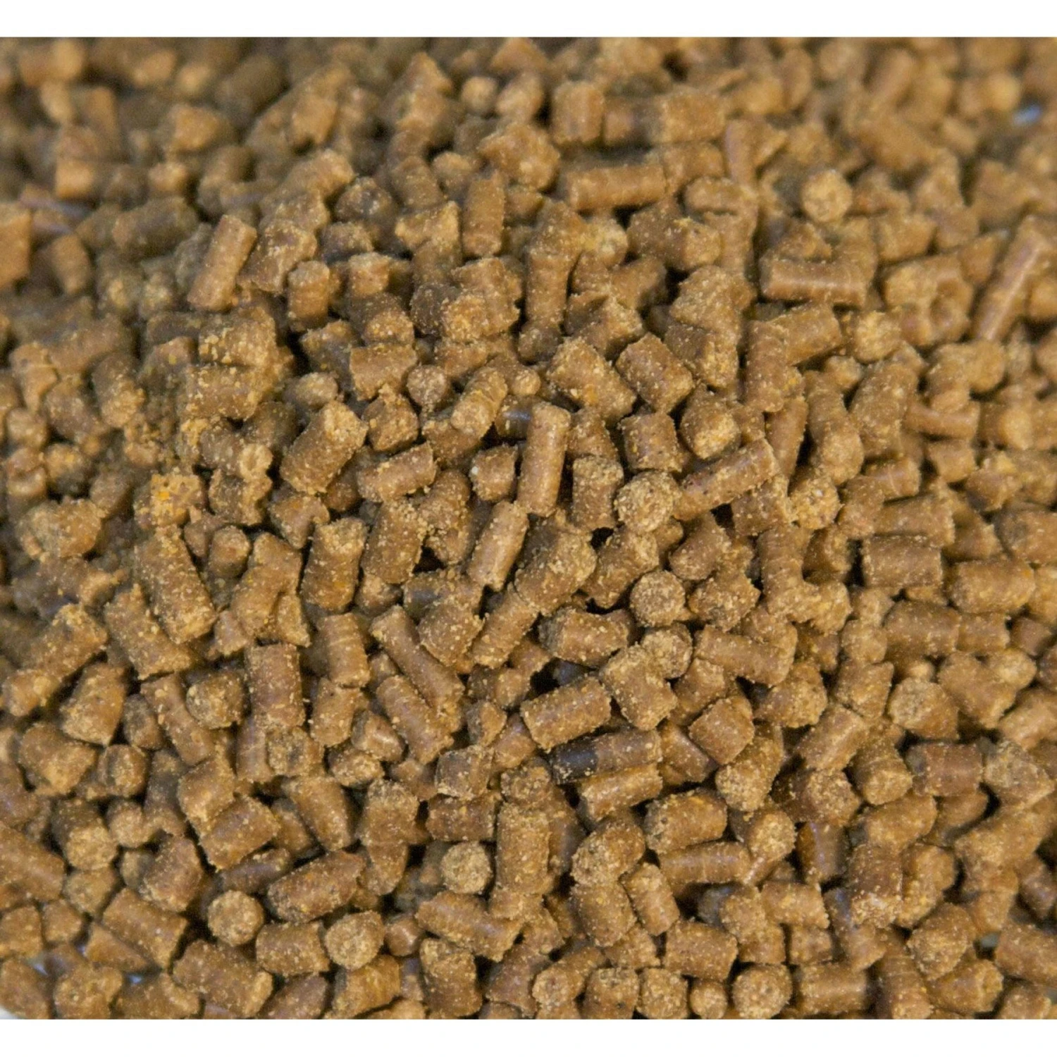 Zoo Med Hermit Crab Food 4 Zoo Med Hermit Crab Food - Image 2