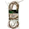 Lee's Aquarium & Pets Wire Vine Terrarium Decor -Pet Supplies Store 156649 MAIN. AC SS1800 V1546985817