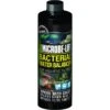 Microbe-Lift Aquatic Turtle Bacterial Water Balancer Solution -Pet Supplies Store 159621 MAIN. AC SS1800 V1595348766