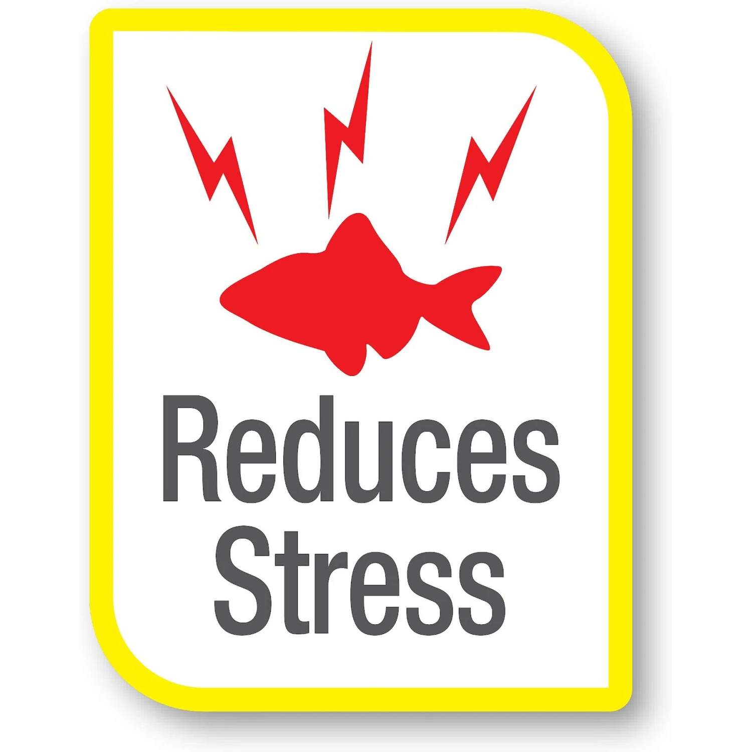 Tetra AquaSafe Freshwater & Marine Aquarium Water Conditioner & Dechlorinator 6 Tetra AquaSafe Freshwater & Marine Aquarium Water Conditioner & Dechlorinator - Image 4