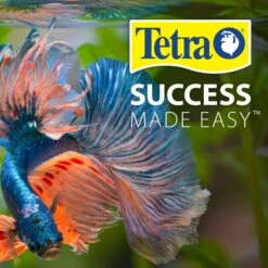 Tetra SafeStart Plus Concentrated Freshwater Aquarium Bacteria -Pet Supplies Store 164371 PT6. AC SS1800 V1701114919
