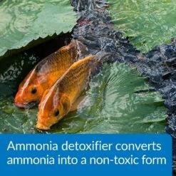 API Pond Ammo-Lock Pond Water Ammonia Detoxifier 14 API Pond Ammo-Lock Pond Water Ammonia Detoxifier -Pet Supplies Store 165848 PT4. AC SS1800 V1630097819