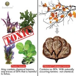 SunGrow Betta Fish Indian Almond Leaves, Water Conditioner & Tank Treatment For Freshwater Aquarium -Pet Supplies Store 179570 PT2. AC SS1800 V1561406837