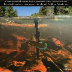 SunGrow Betta Fish Indian Almond Leaves, Water Conditioner & Tank Treatment For Freshwater Aquarium -Pet Supplies Store 179570 PT4. AC SS1800 V1561406821