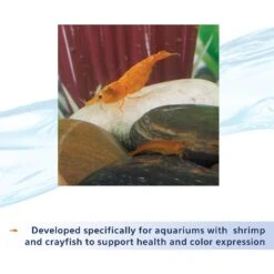 Aqueon Shrimp Tank Plus Freshwater Aquarium Water Conditioner -Pet Supplies Store 180552 PT5. AC SS1800 V1638492723