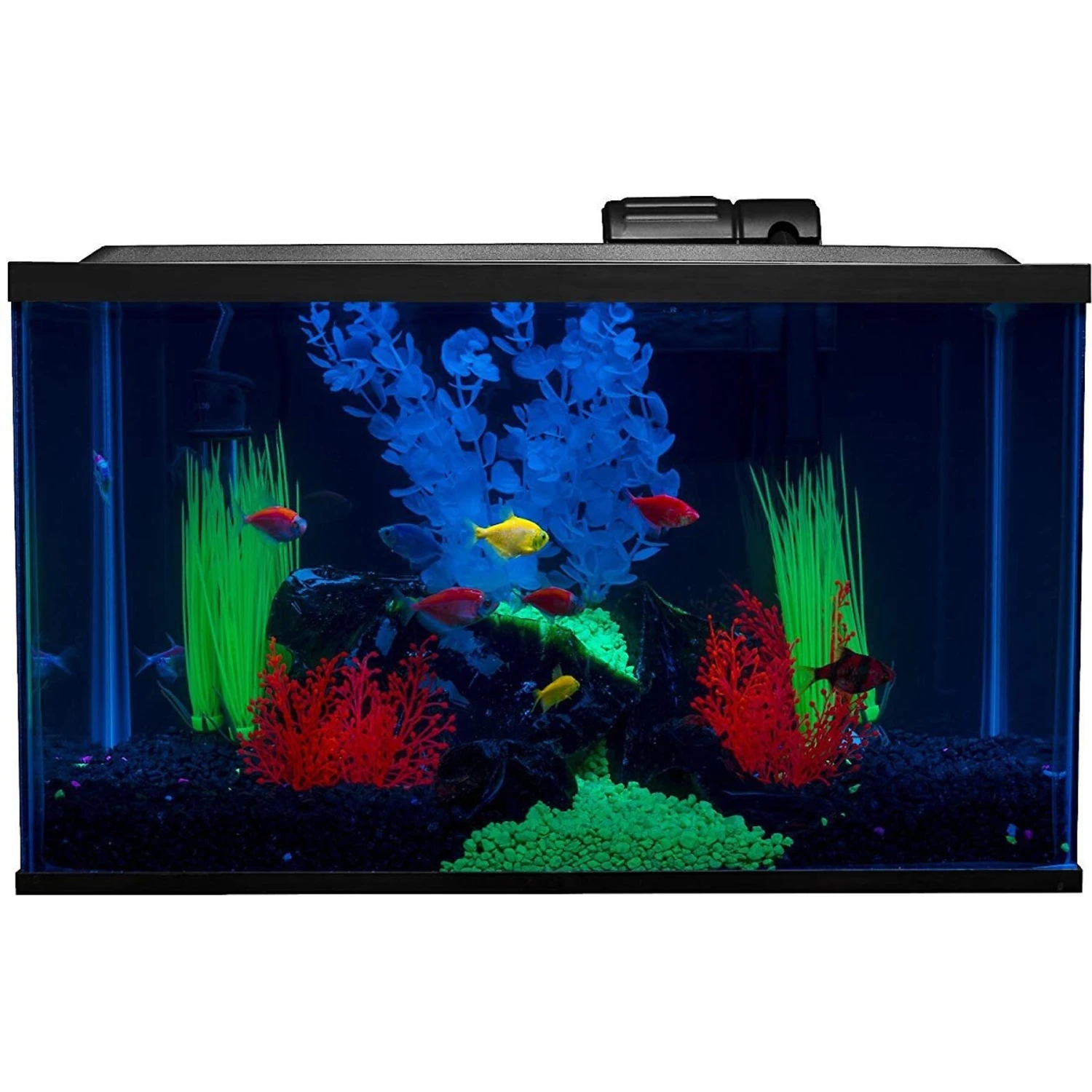 GloFish Aquarium Kit 3 GloFish Aquarium Kit