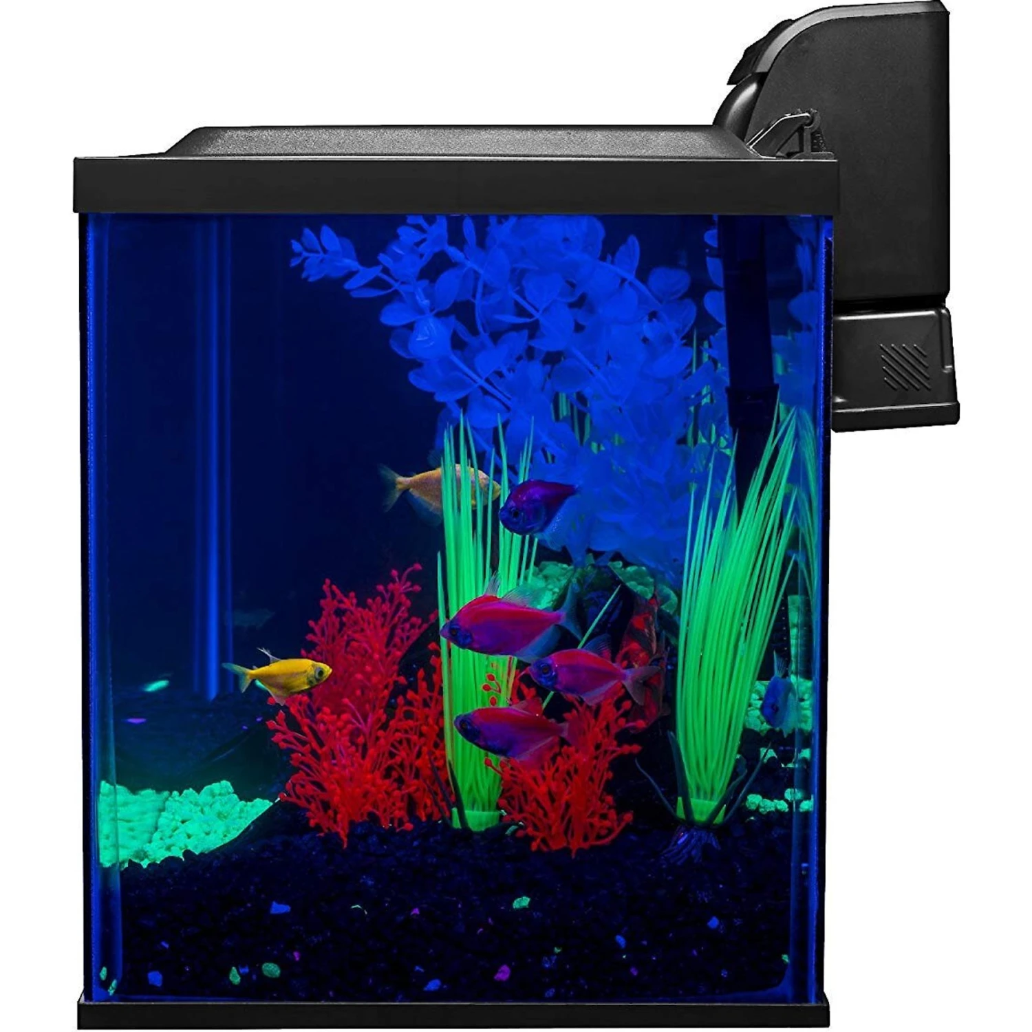 GloFish Aquarium Kit 4 GloFish Aquarium Kit - Image 2