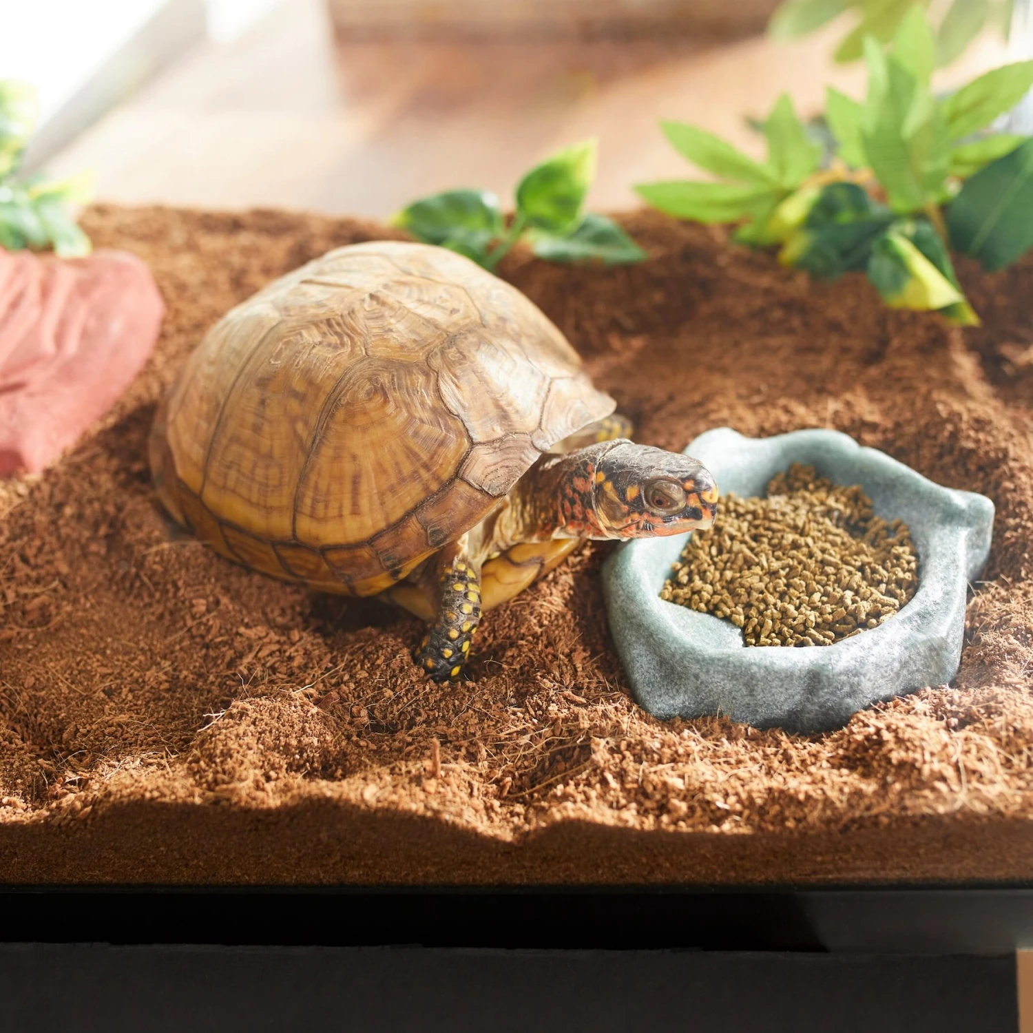 Mazuri Small Tortoise LS Low Starch Food 6 Mazuri Small Tortoise LS Low Starch Food - Image 4