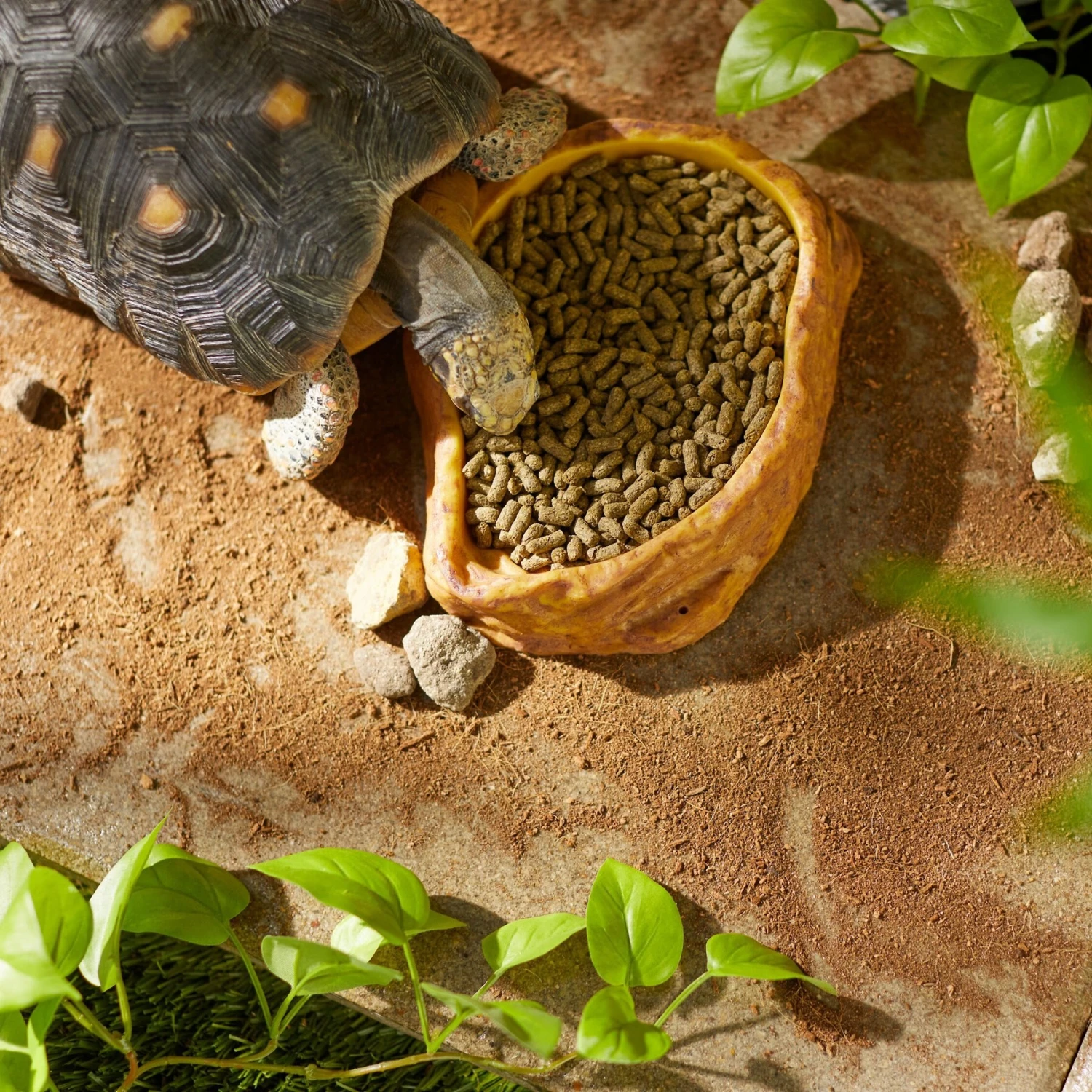 Mazuri Tortoise LS Low Starch Food 4 Mazuri Tortoise LS Low Starch Food - Image 2