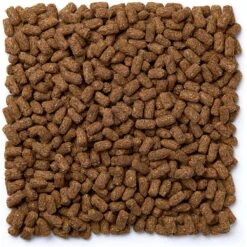 Mazuri Tortoise LS Low Starch Food 13 Mazuri Tortoise LS Low Starch Food -Pet Supplies Store 191359 PT4. AC SS1800 V1619206661