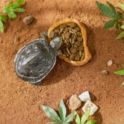 Mazuri Aquatic Turtle Gel, 8-oz Bag -Pet Supplies Store 191374 PT1. AC SS1800 V1619205473