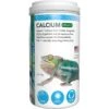 Pisces USA Calcium Without D3 Reptile Supplement -Pet Supplies Store 205560 main. AC SS1800 V1579286002
