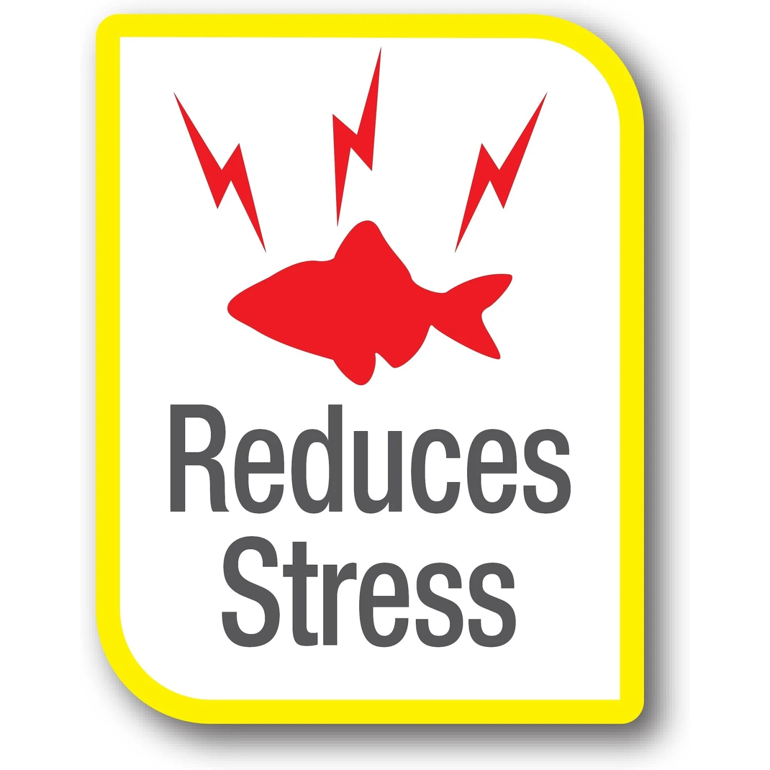 Tetra AquaSafe Aquarium Water Conditioner, 8.45-oz Bottle 7 Tetra AquaSafe Aquarium Water Conditioner, 8.45-oz Bottle - Image 5