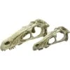 Komodo Raptor Skull -Pet Supplies Store 216138 MAIN. AC SS1800 V1669829204