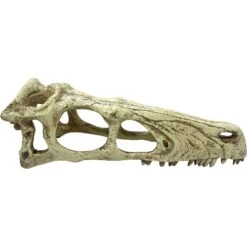 Komodo Raptor Skull -Pet Supplies Store 216138 PT3. AC SS1800 V1669829209
