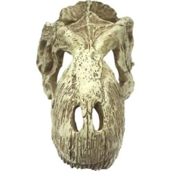Komodo T-Rex Skull -Pet Supplies Store 216141 PT2. AC SS1800 V1669829198