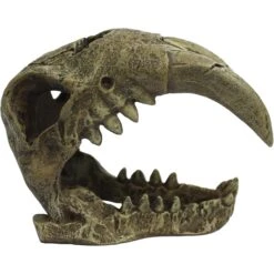 Komodo Large Saber Tooth Skull, Medium -Pet Supplies Store 216148 PT2. AC SS1800 V1669829205