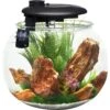 Penn-Plax Aquasphere 360⁰ Fish Aquarium -Pet Supplies Store 239721 MAIN. AC SS1800 V1597881711