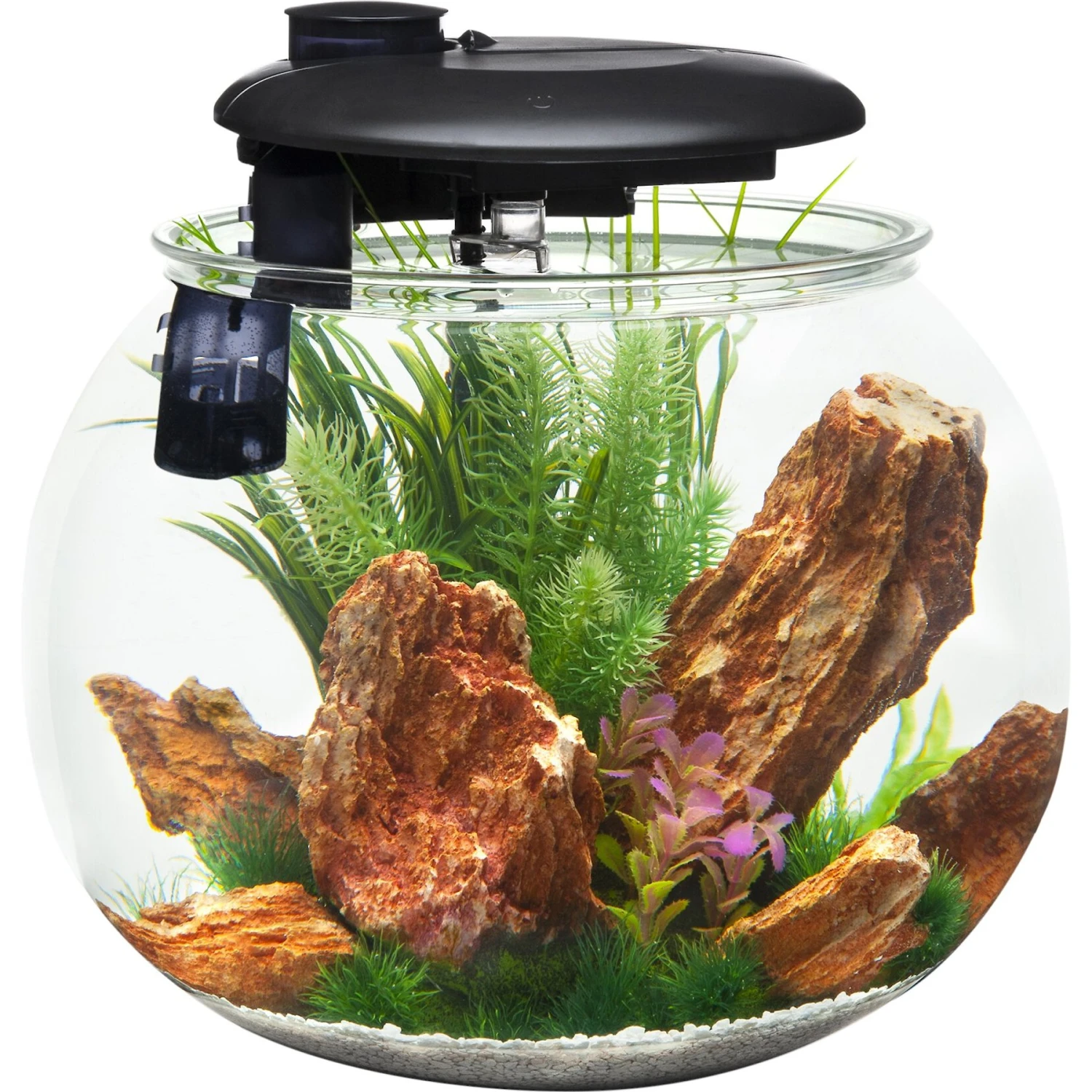 Penn-Plax Aquasphere 360⁰ Fish Aquarium 3 Penn-Plax Aquasphere 360⁰ Fish Aquarium