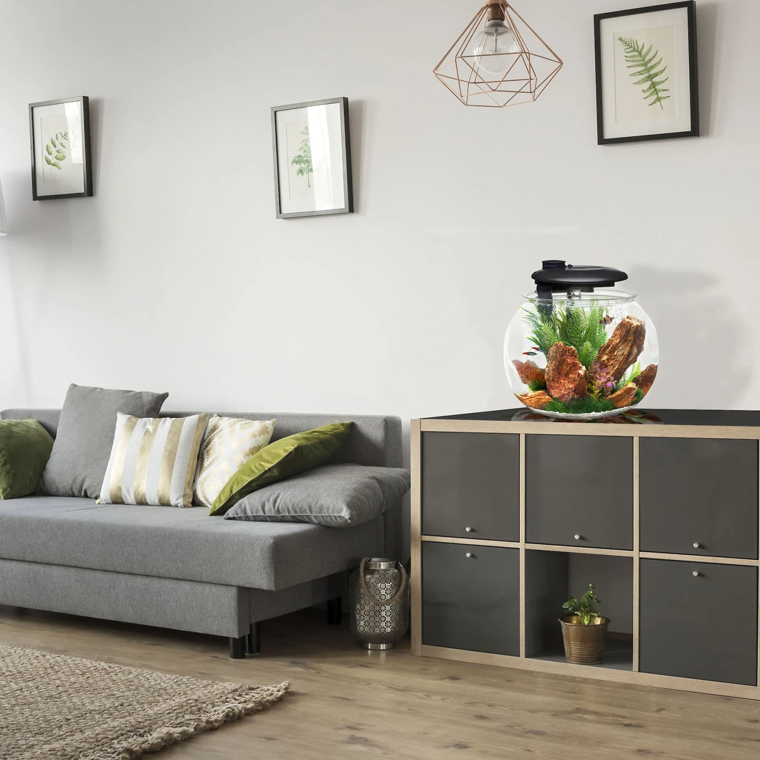 Penn-Plax Aquasphere 360⁰ Fish Aquarium 5 Penn-Plax Aquasphere 360⁰ Fish Aquarium - Image 3