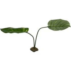 Komodo Jumbo Guiana Terrarium Plant -Pet Supplies Store 254477 PT2. AC SS1800 V1604096014