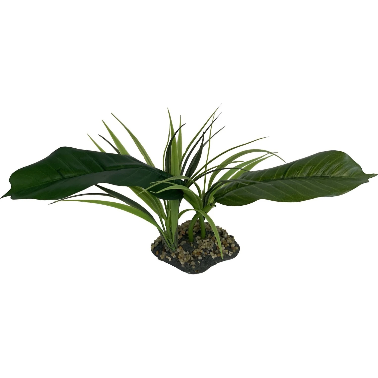 Komodo Woodland Canopy Terrarium Plant 4 Komodo Woodland Canopy Terrarium Plant - Image 2
