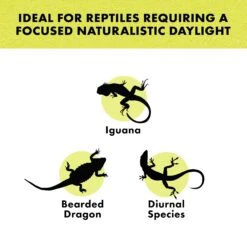 Zilla Day White Incandescent Reptile Terrarium Spot Lamp -Pet Supplies Store 254521 PT2. AC SS1800 V1698866818