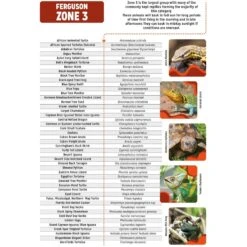 Reptile Systems T5 Ferguson Zone 3 12% Desert Reptile Lamp -Pet Supplies Store 257078 PT6. AC SS1800 V1698939694