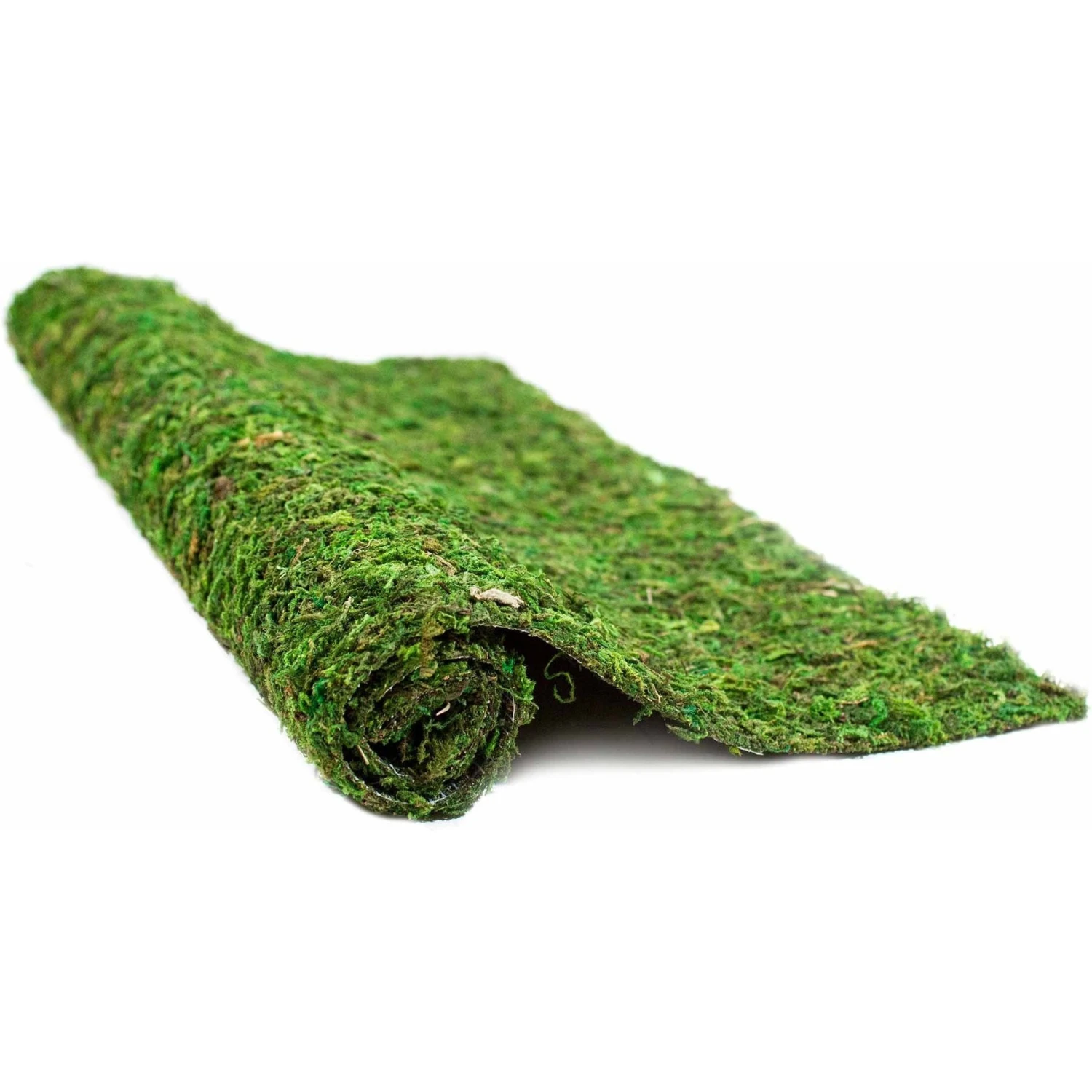 Galapagos Mossy Crash Pad Terrarium Bedding, Fresh Green 4 Galapagos Mossy Crash Pad Terrarium Bedding, Fresh Green - Image 2