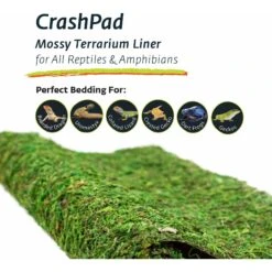 Galapagos Mossy Crash Pad Terrarium Bedding, Fresh Green 11 Galapagos Mossy Crash Pad Terrarium Bedding, Fresh Green -Pet Supplies Store 257607 PT4. AC SS1800 V1684403020