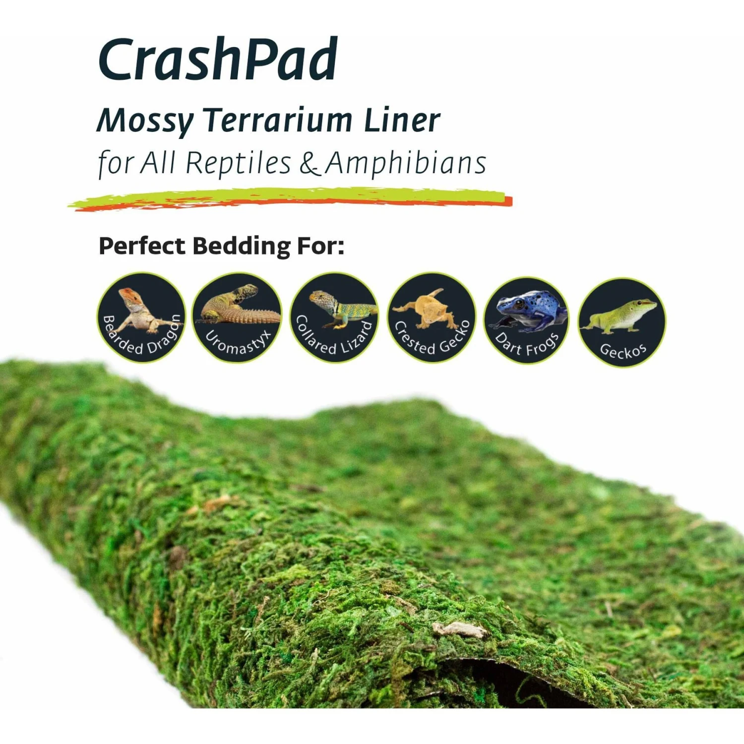 Galapagos Mossy Crash Pad Terrarium Bedding, Fresh Green 7 Galapagos Mossy Crash Pad Terrarium Bedding, Fresh Green - Image 5