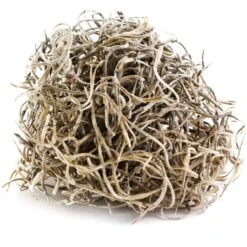 Galapagos Spanish Moss Reptile Terrarium Moss, 150 Cubic Inch Bag 8 Galapagos Spanish Moss Reptile Terrarium Moss, 150 Cubic Inch Bag -Pet Supplies Store 257613 PT1. AC SS1800 V1684408567