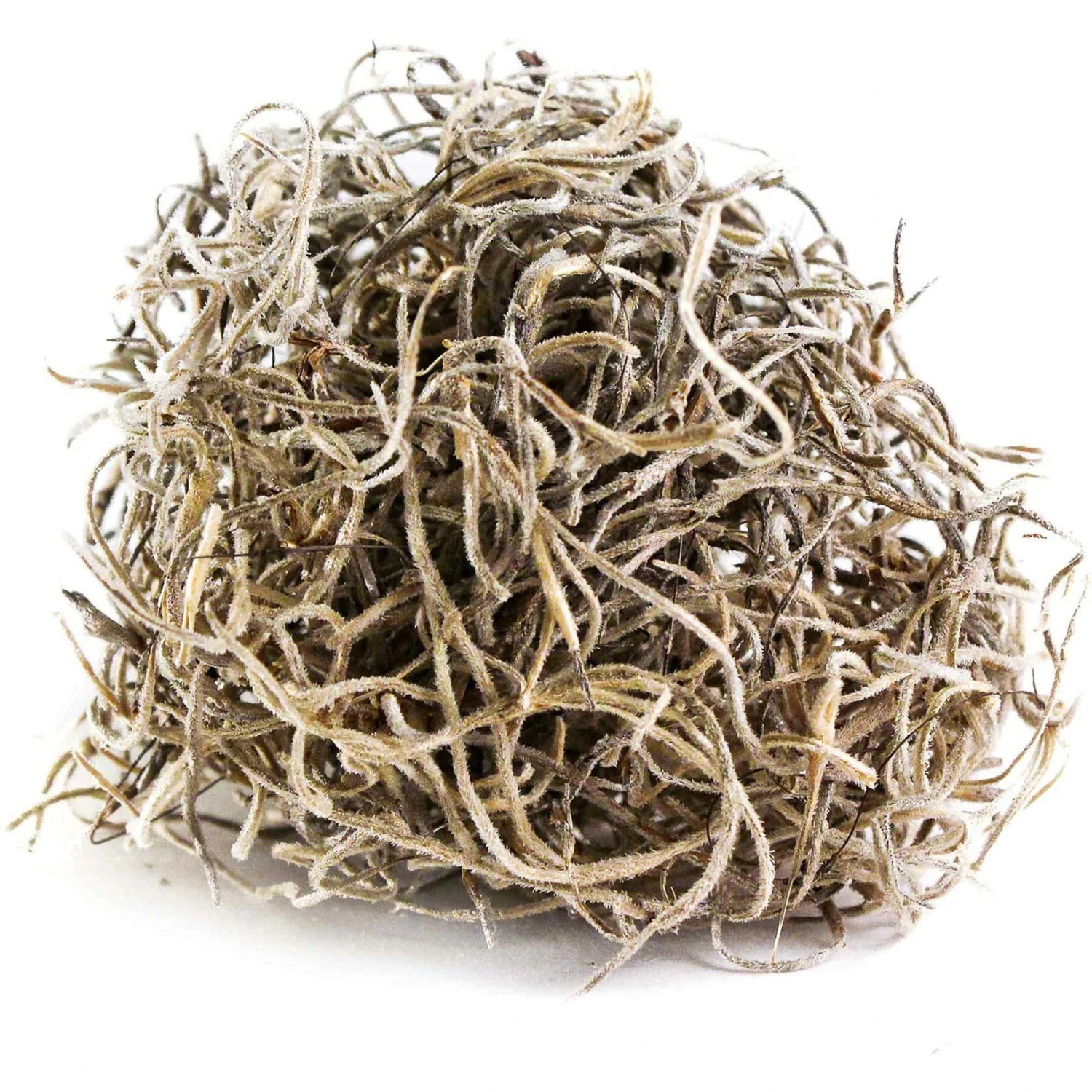 Galapagos Spanish Moss Reptile Terrarium Moss, 150 Cubic Inch Bag 4 Galapagos Spanish Moss Reptile Terrarium Moss, 150 Cubic Inch Bag - Image 2