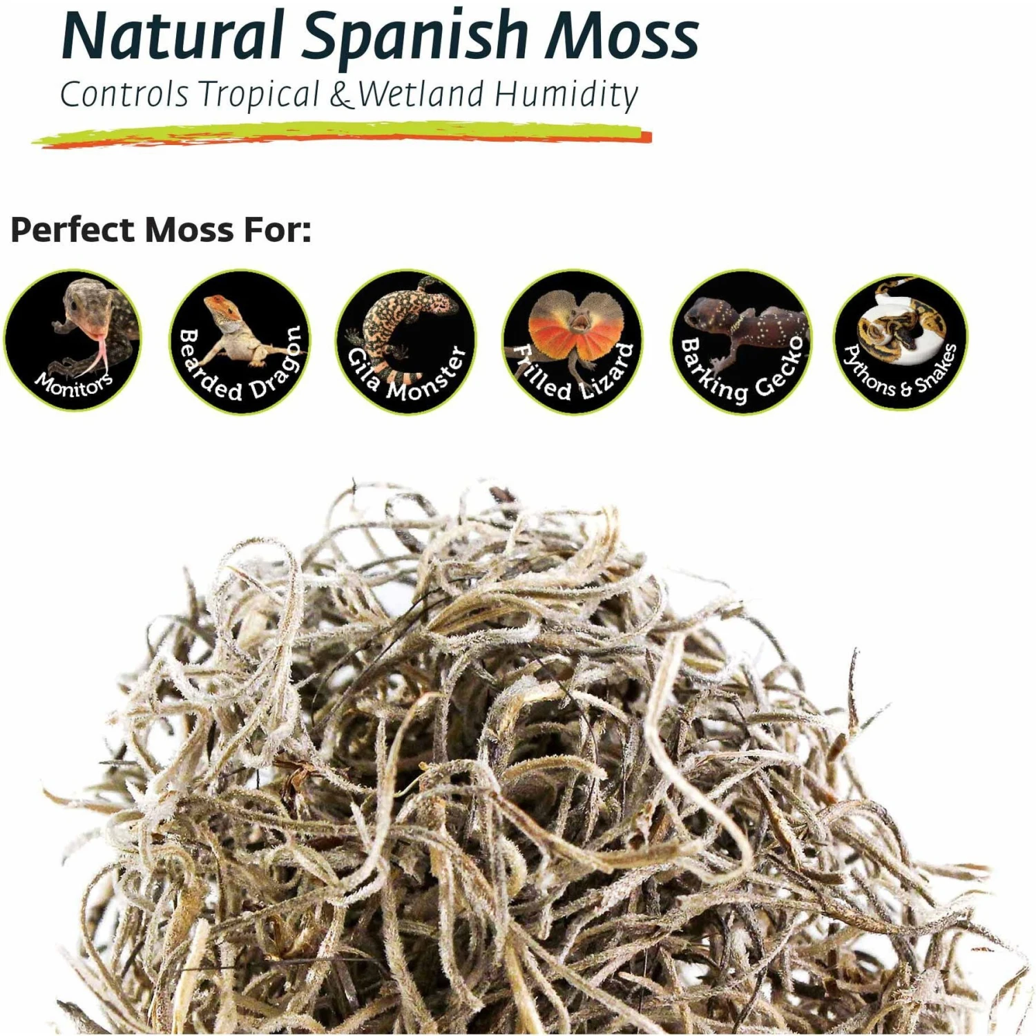 Galapagos Spanish Moss Reptile Terrarium Moss, 150 Cubic Inch Bag 7 Galapagos Spanish Moss Reptile Terrarium Moss, 150 Cubic Inch Bag - Image 5